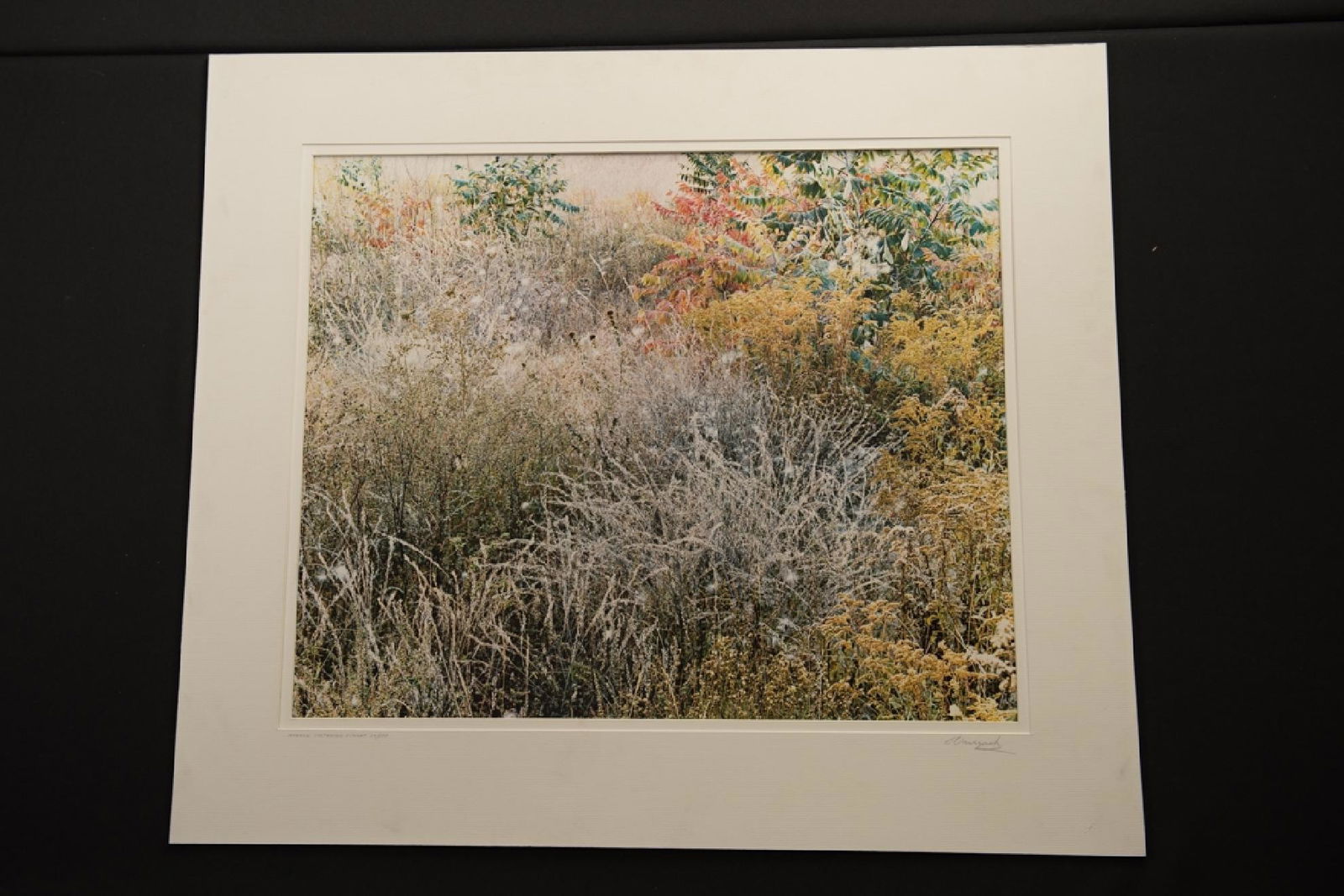 John Wawrzonek, "Meadow Just After Sunset", Dye (1 of 4)