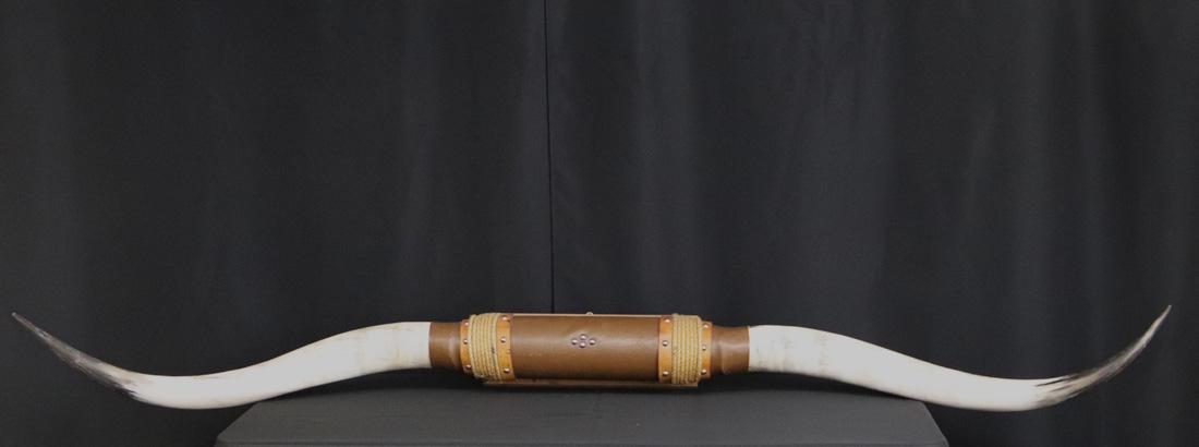 Mounted Bull/Cattle Horns 79 inches Tip to Tip (1 of 5)
