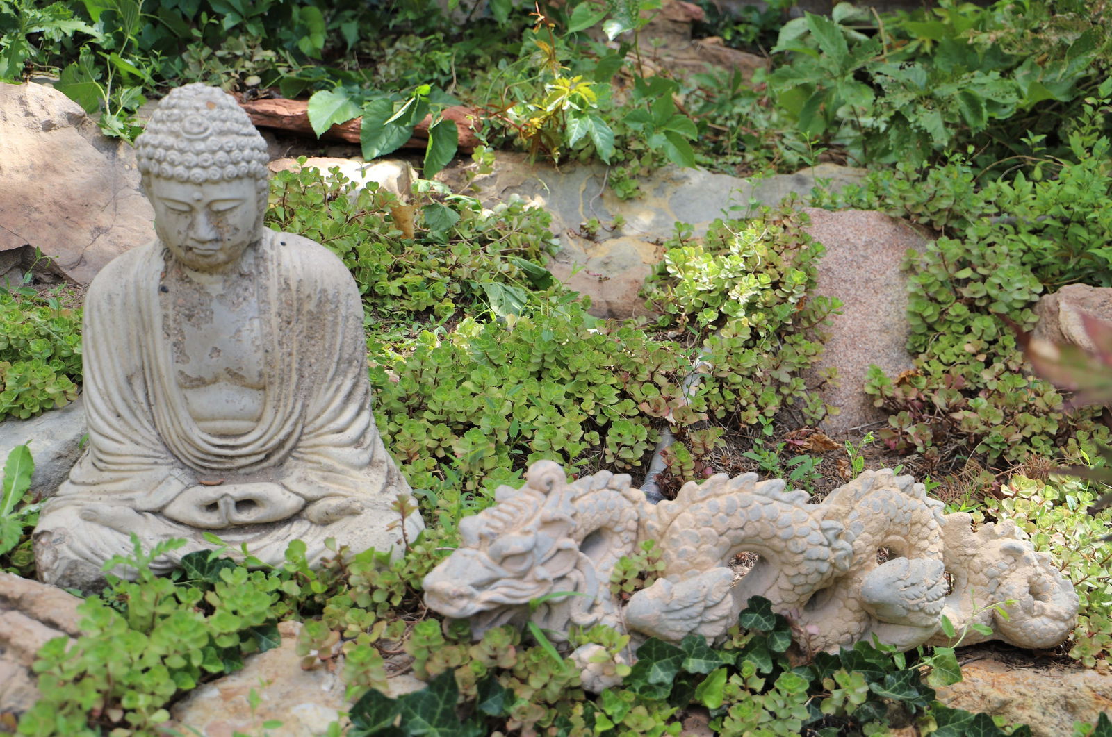 Buddha, Dragon, Statues (1 of 5)