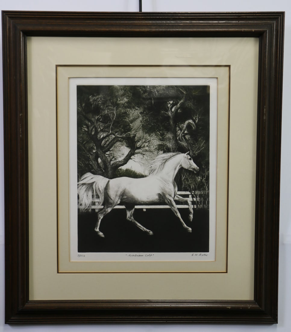 G. H. Rothe, Framed Print (1 of 5)