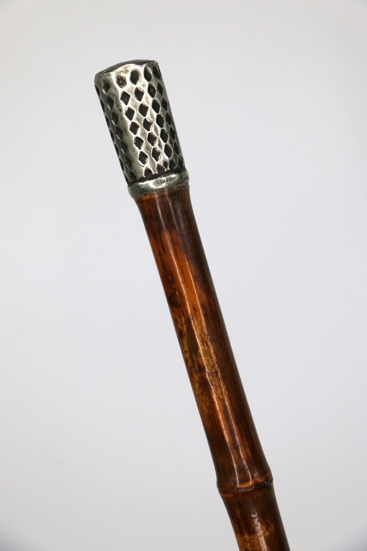 Silver Handled Cane (1 of 5)