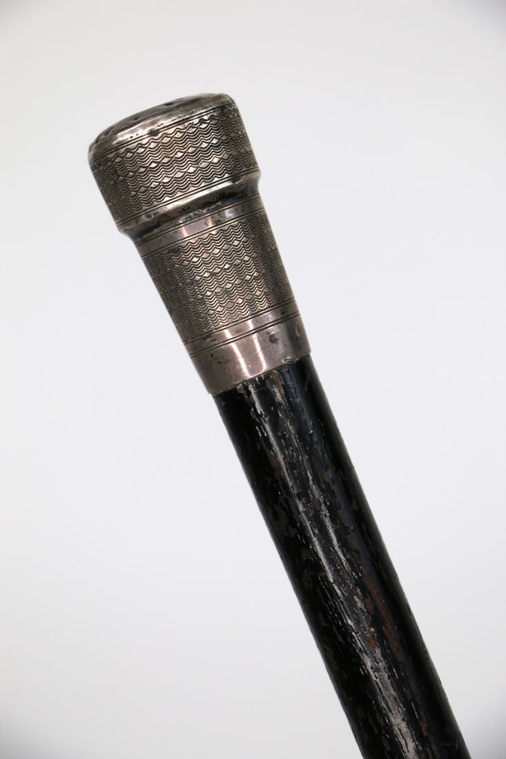 Silver Handled Cane (1 of 4)