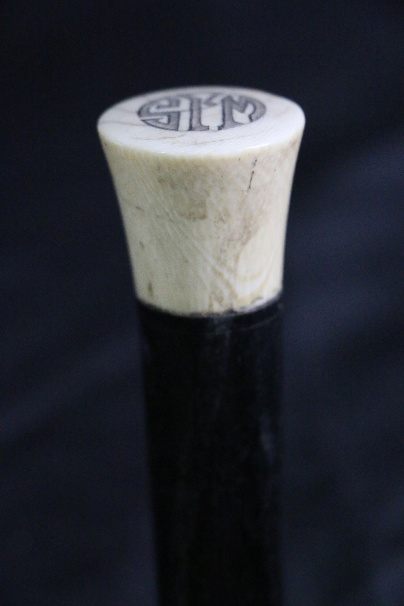 Antique Ivory Handle, Cane (1 of 6)