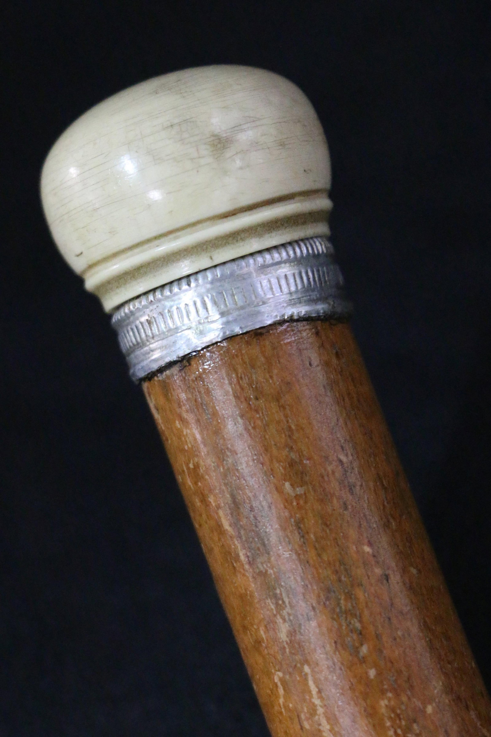 Ivory Riding Crop (1 of 4)