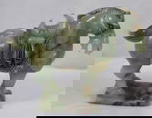 Carved Jade Horse