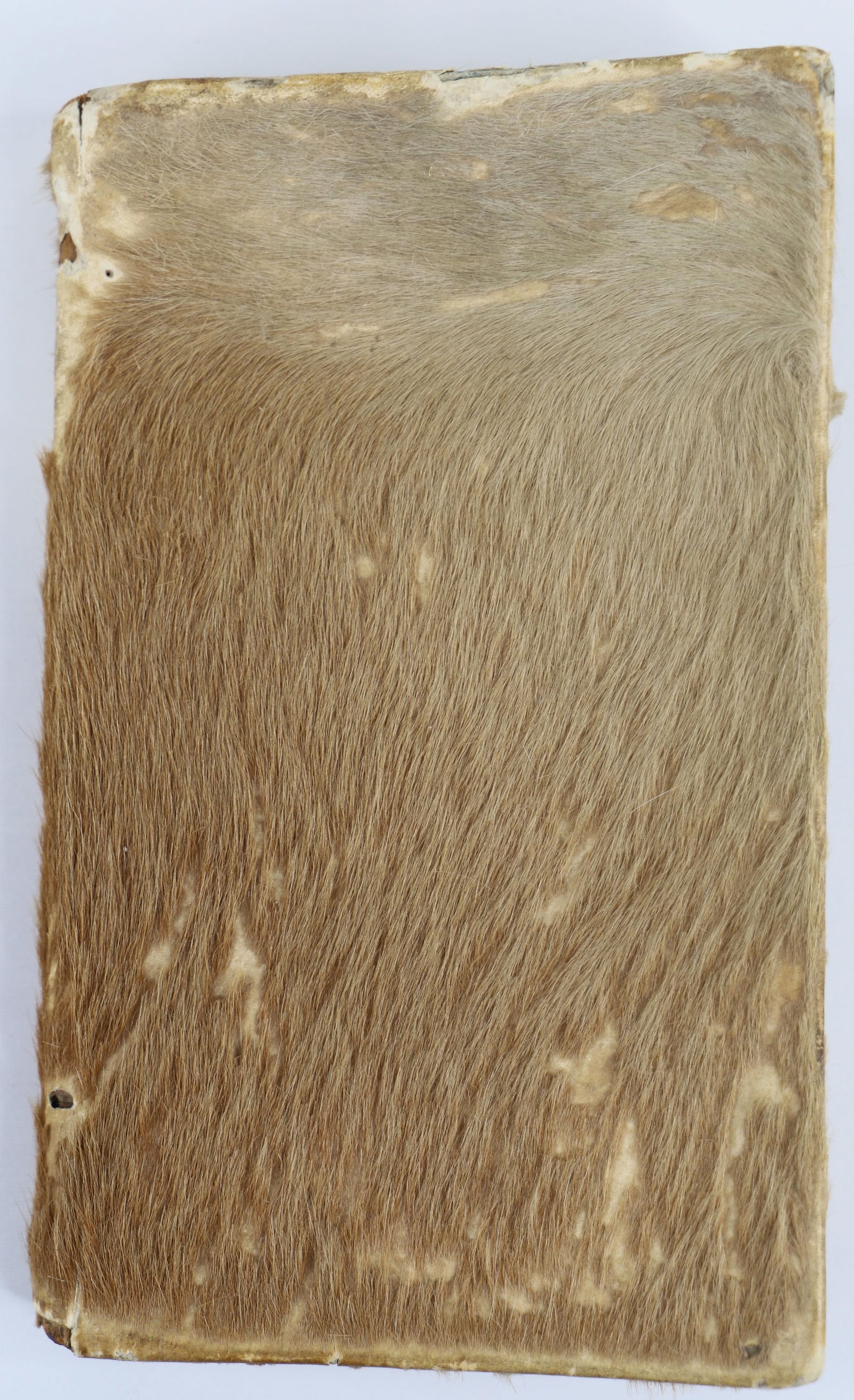Samuel Thompson, Antique Deer Hide Covered Book (1 of 6)