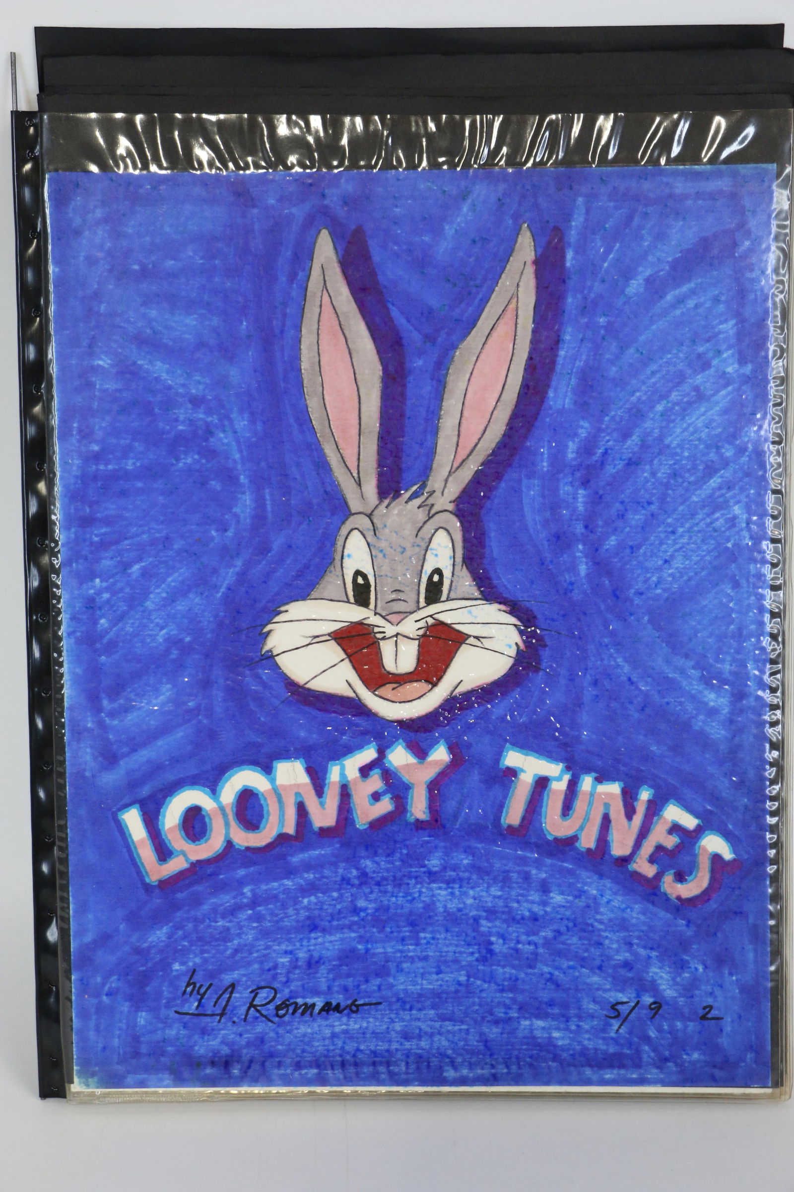 Anthony Romano, Disney Art (1 of 12)