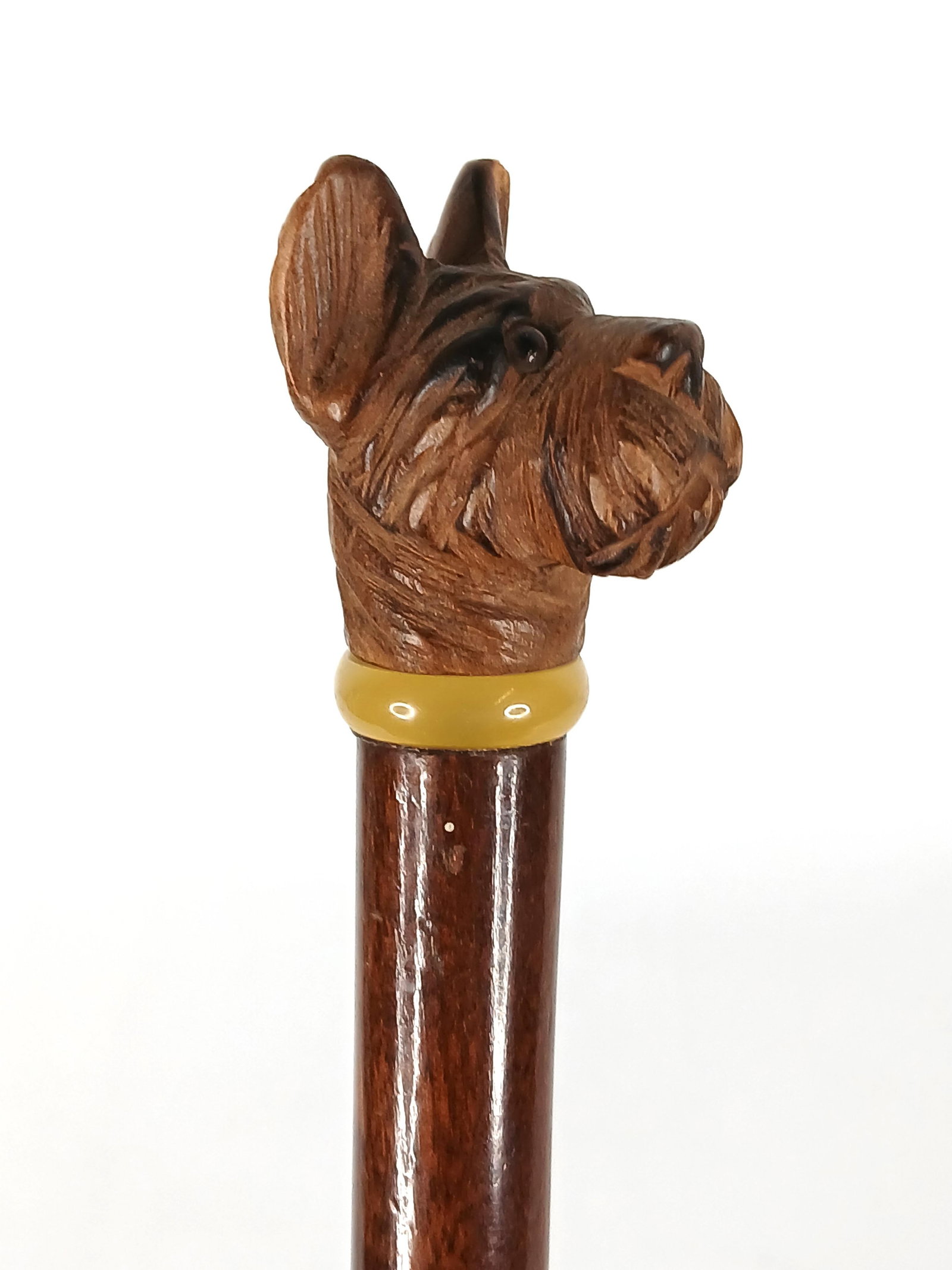 Carved Schnauzer, Cane: Wood walking stick with a wood carved dog head as the handle; Glass eyes and a plastic collar; Wood shaft and bone ferrule; Circa 1900; No maker marks observed; Measures approximately H 35 inches; Wea