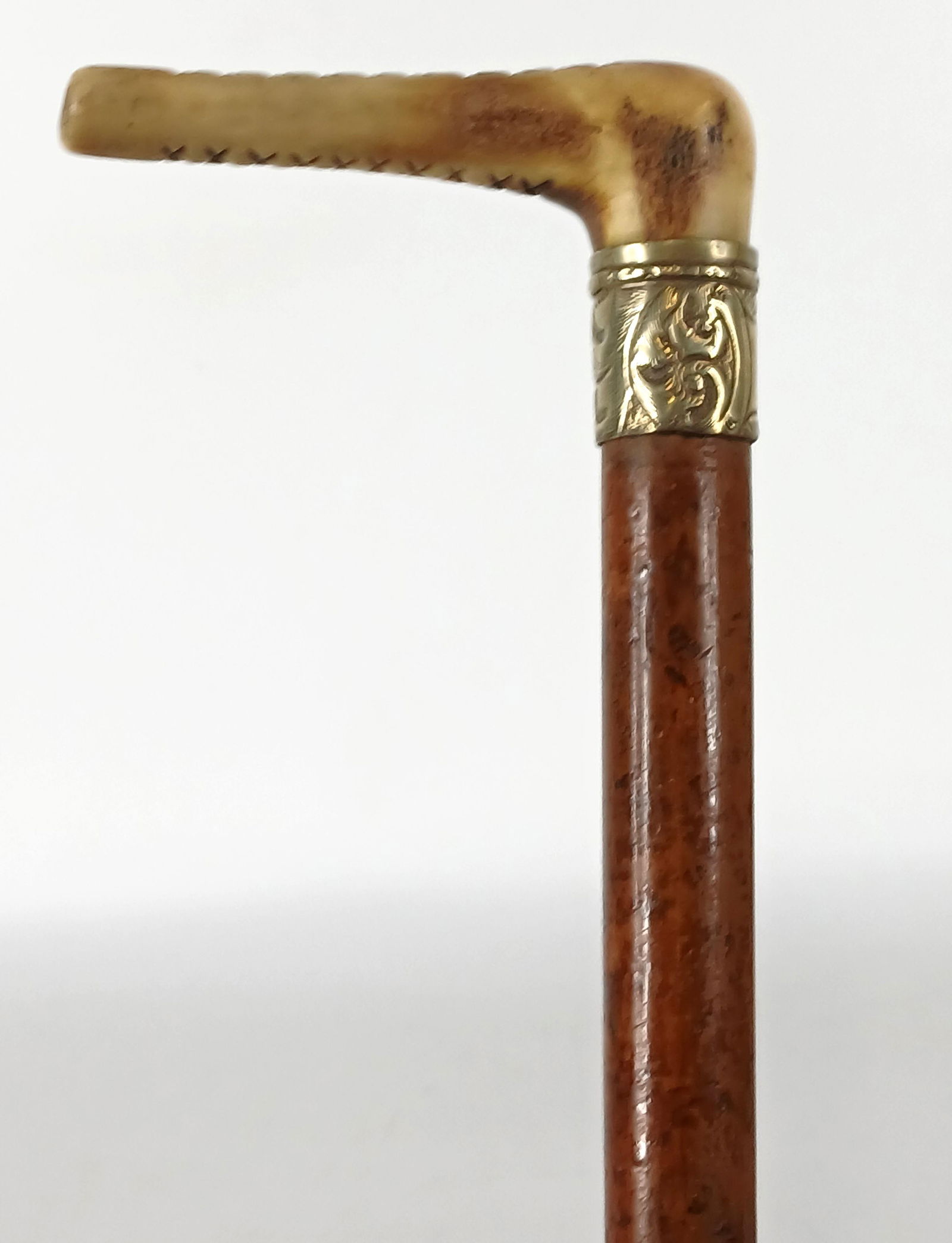 Horn Handle, Cane (1 of 8)