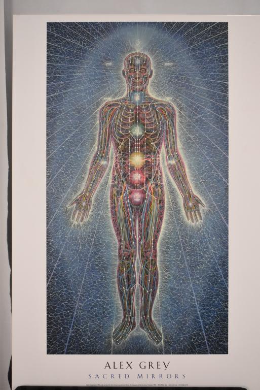 ALEX GREY SACRED MIRRORS POSTER (1 of 6)