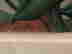 item-113882955=3
