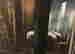 item-113882960=2