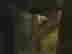 item-113882961=2