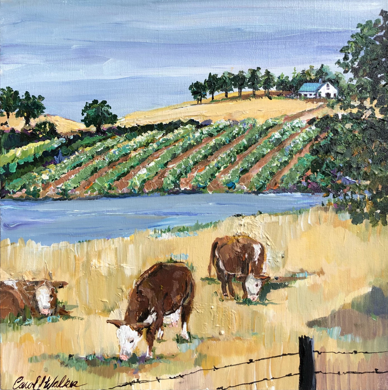 Carol L. Walker "Cows of Sonoma County" Signed Original: Artist: Carol L. Walker Title: Cows of Sonoma County Medium: Oil on Canvas Art Dimensions: 15 H x 15 W inches ARTIST BIO: Lives in the heart of the beautiful wine & farm c