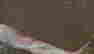 item-121321070=2