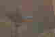 item-121321070=3