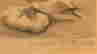 item-129026378=2