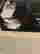 item-130792429=5