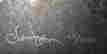 item-130792484=8