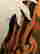 item-130792514=3