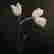 item-130792546=3