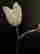 item-130792546=6