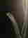 item-130792546=7