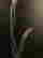 item-130792546=8