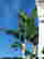 item-130792596=5