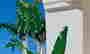 item-130792596=6