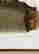 item-130792637=5