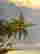 item-131642436=2