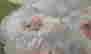 item-131643106=3