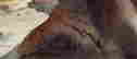 item-131643801=3