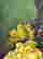item-131644327=4