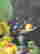 item-131644327=5
