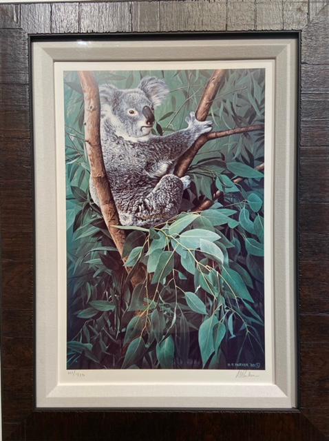 Ron Parker "Eucalyptus Climber" Signed Lithograph LE: Artist: Ron Parker Title: Eucalyptus Climber Medium: Lithograph on Paper Limited Edition: 101/950 Art Dimensions: 20 H x 14 W inches Framed Dimensions: 25 H x 19 W inche