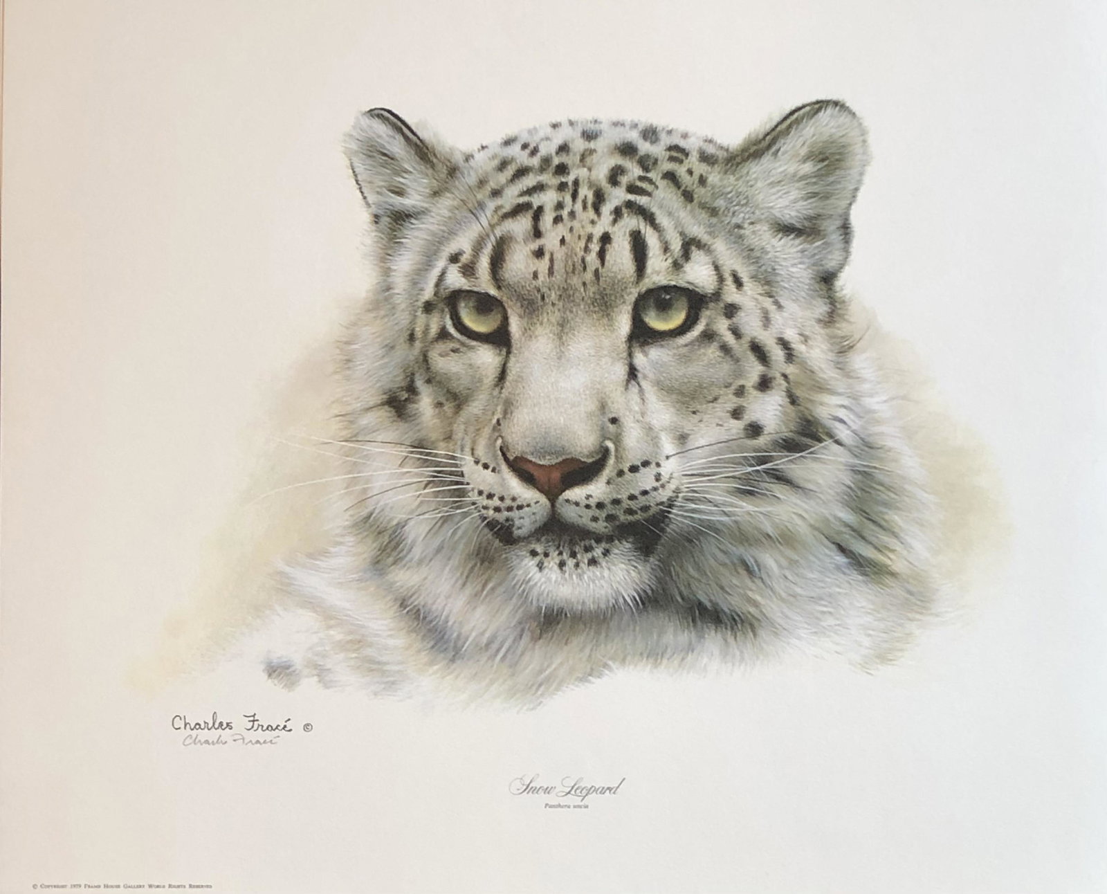 Charles Frace "Snow Leopard" Signed Lithograph LE: Artist: Charles Frace Title: Snow Leopard Medium: Lithograph on Paper Limited Edition: Collector Print Art Dimensions: 16 H x 20 W inches ARTIST BIO: Charles