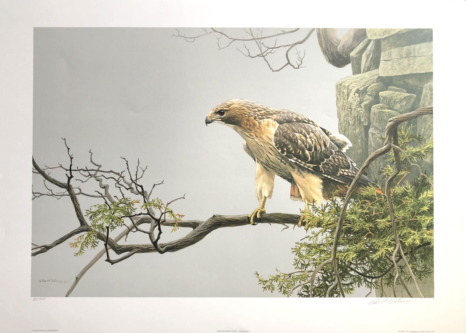 Robert Bateman "Red Tailed Hawk by the Cliff" Signed Litho LE (1 of 5)