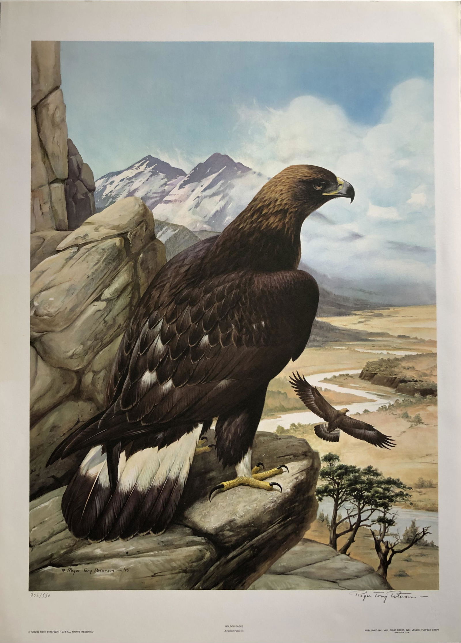 Roger T. Peterson "Golden Eagle" Signed Lithograph LE (1 of 7)