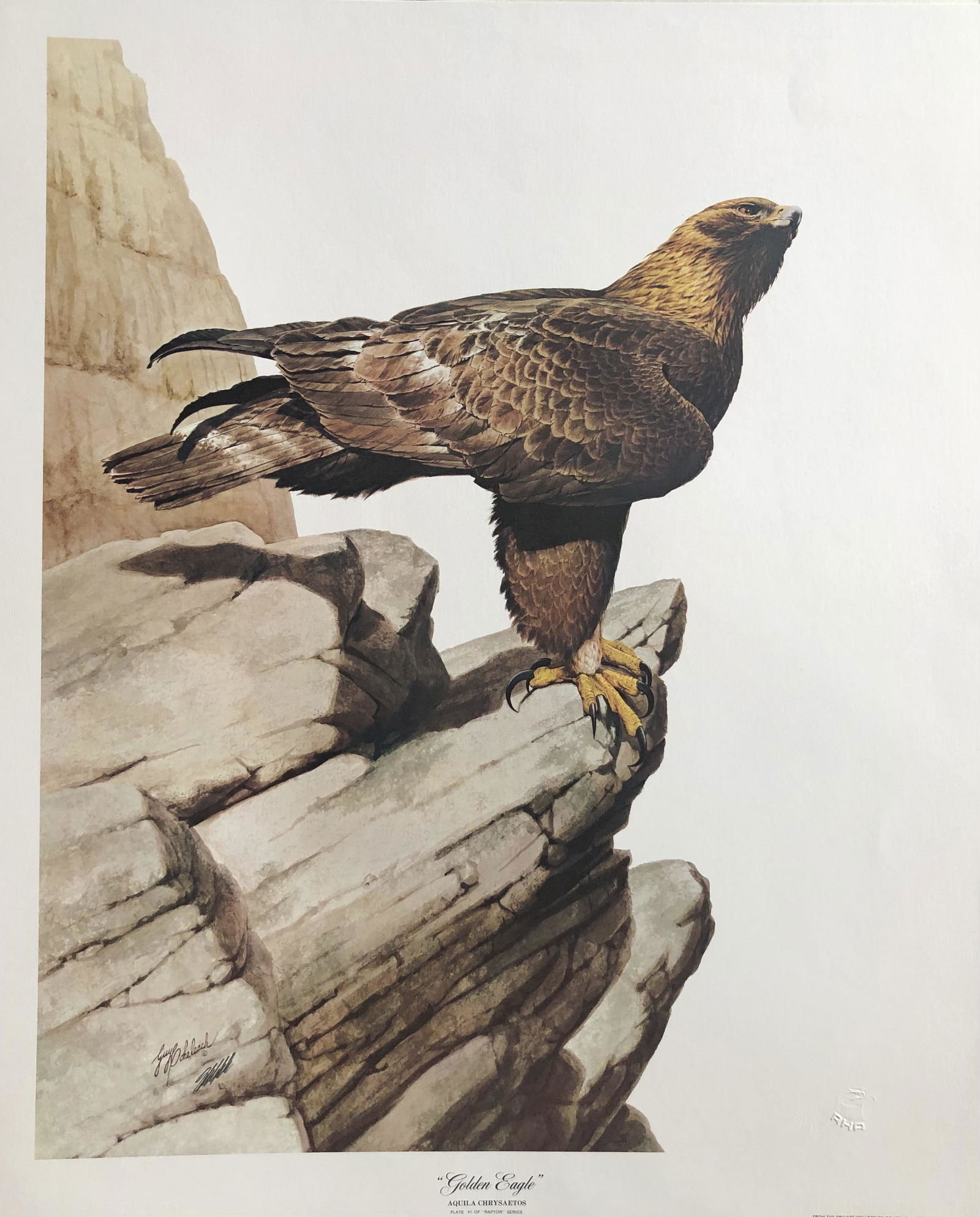 Guy Coheleach "Golden Eagle" Signed Lithograph LE: Artist: Guy Coheleach Title: Golden Eagle Medium: Lithograph on Paper Limited Edition: Plate I of Raptor Series Art Dimensions: 26 H x 21 W inches ARTIST BIO: