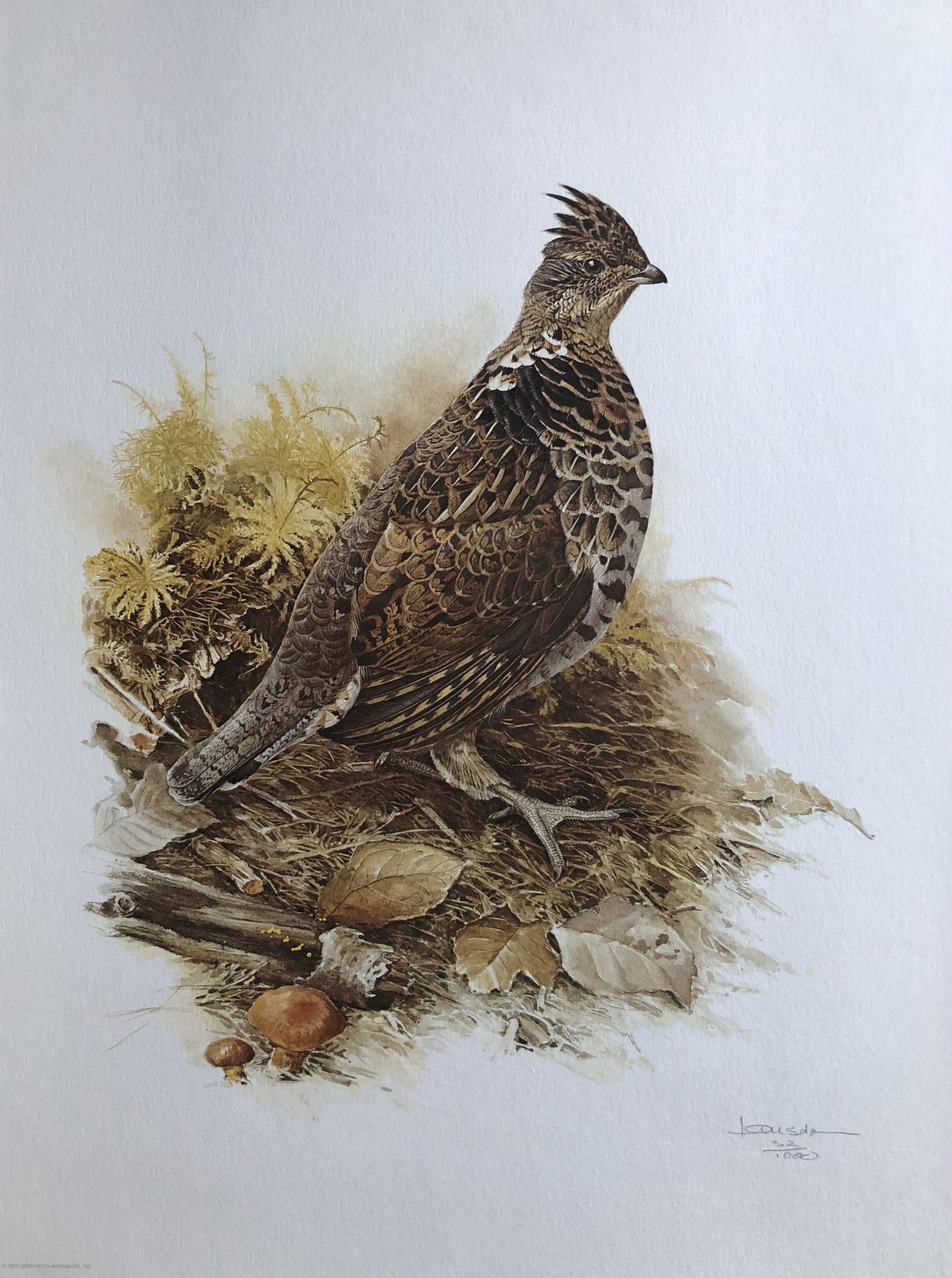 James (Fenwick) Lansdowne "Ruffed Grouse" Signed Litho LE (1 of 5)