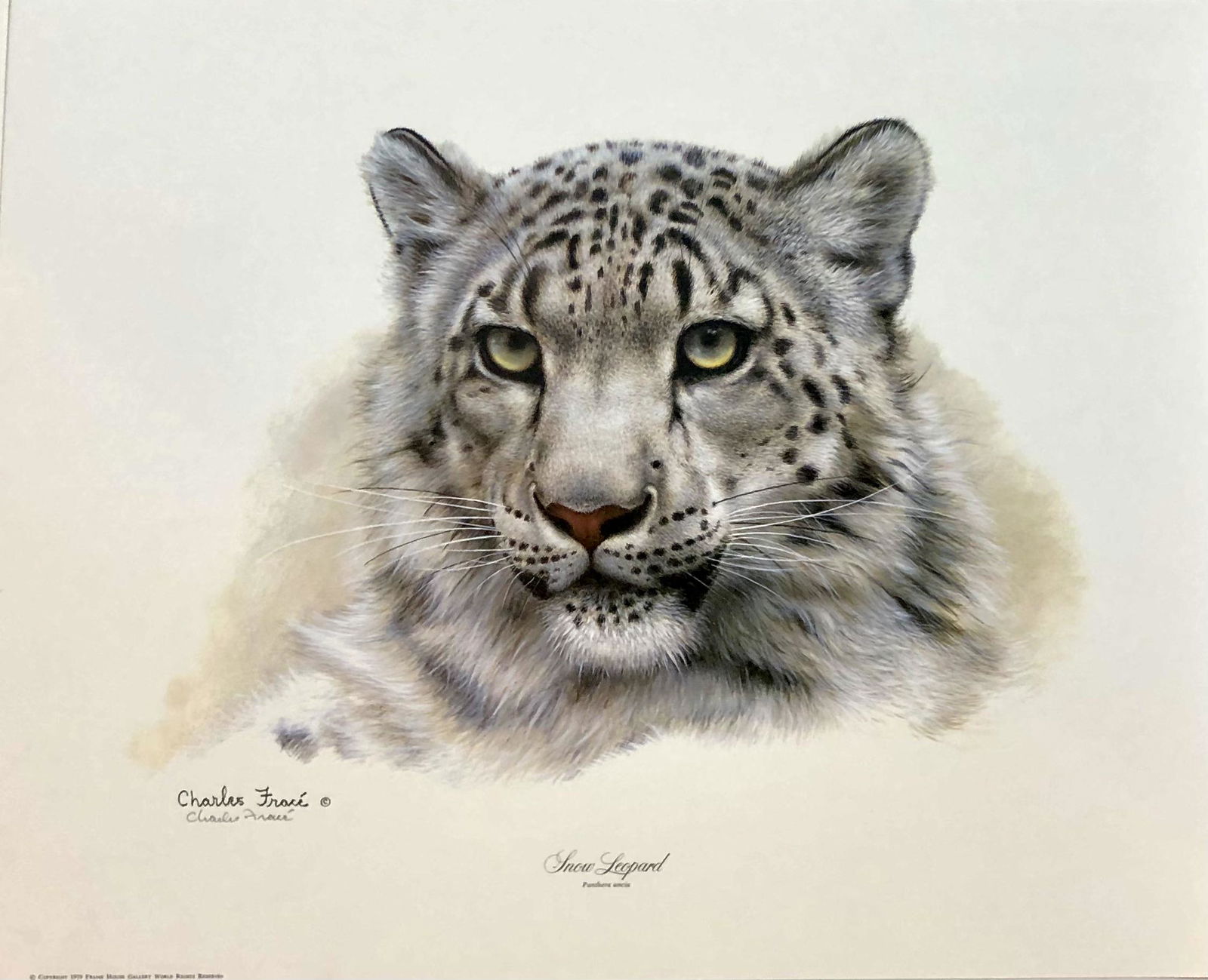 Charles Frace "Snow Leopard" Signed LE Lithograph (1 of 5)