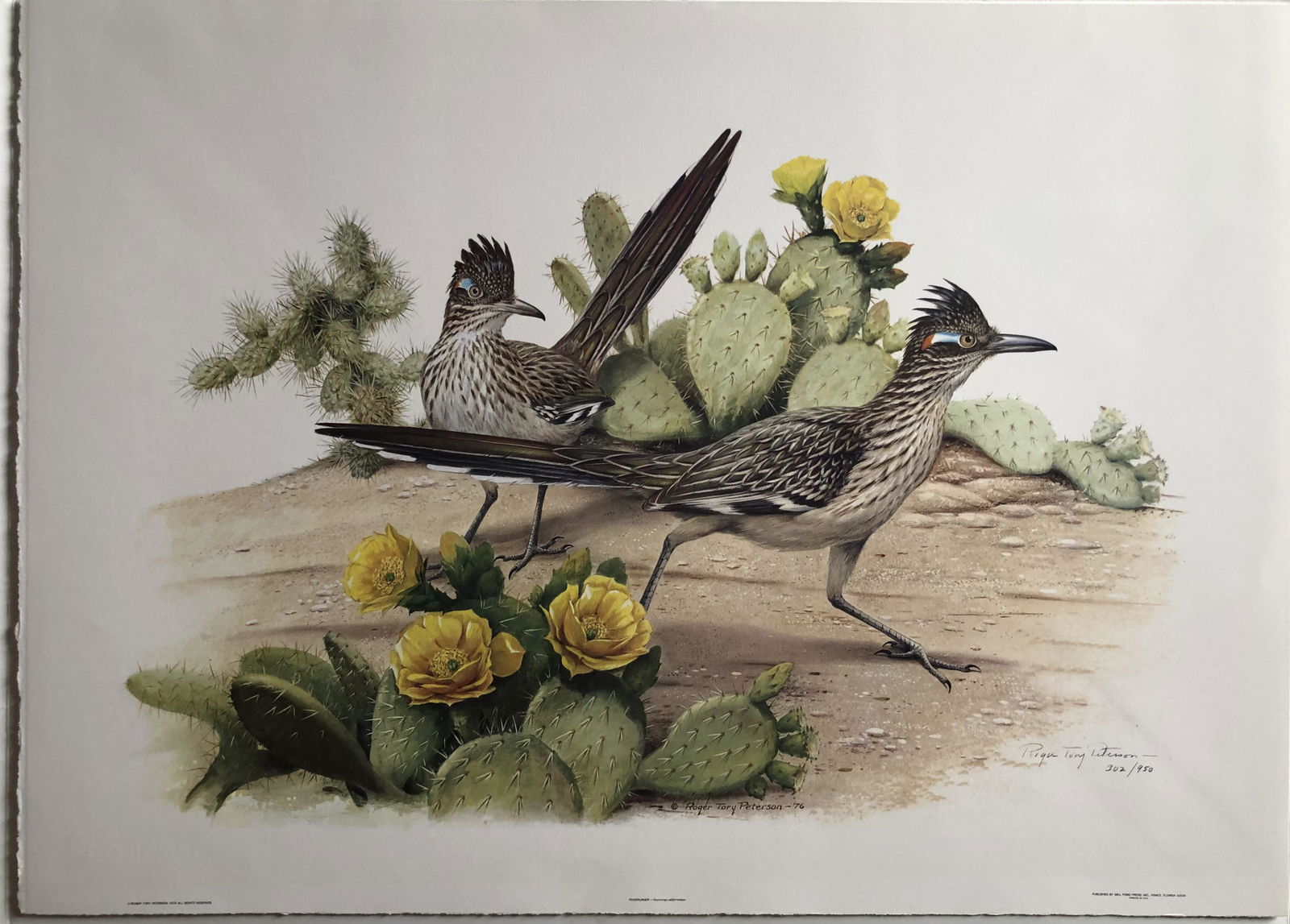Roger T. Peterson "Roadrunner" Signed Lithograph LE (1 of 5)