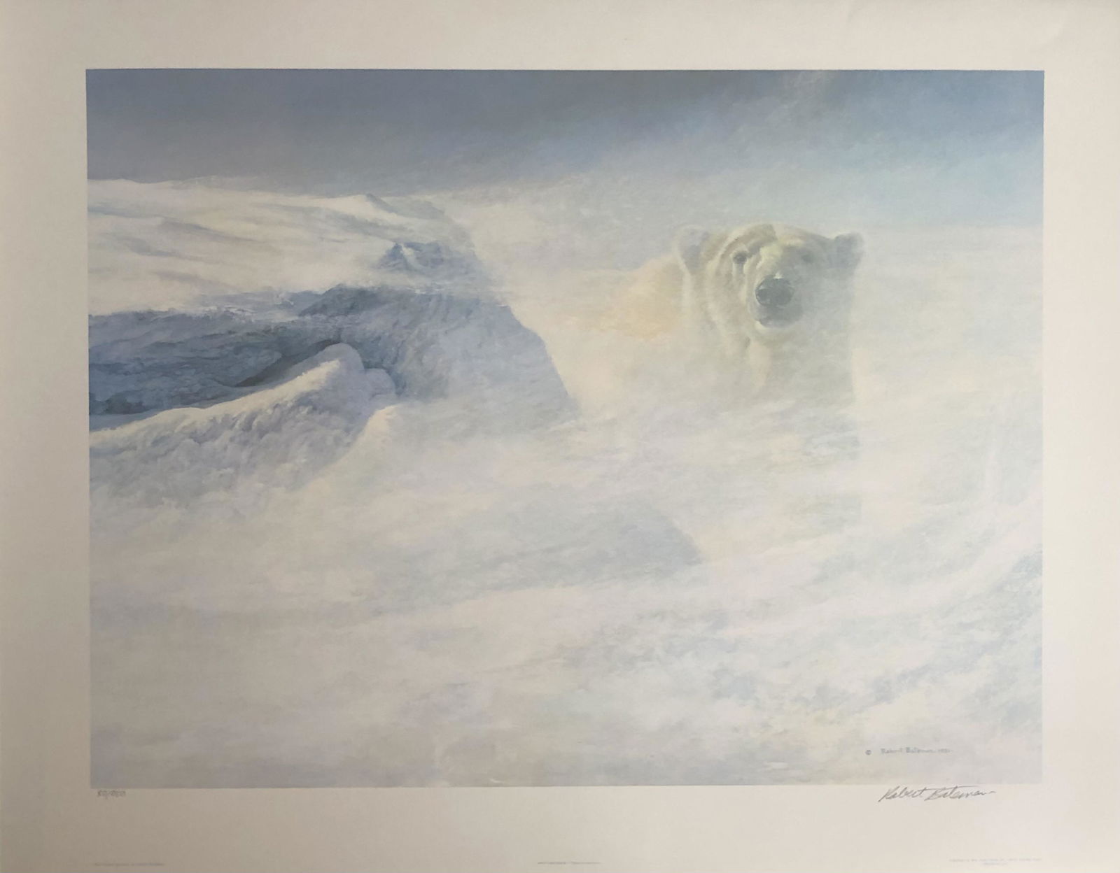 Robert Bateman "White Encounter" Signed Lithograph LE (1 of 6)