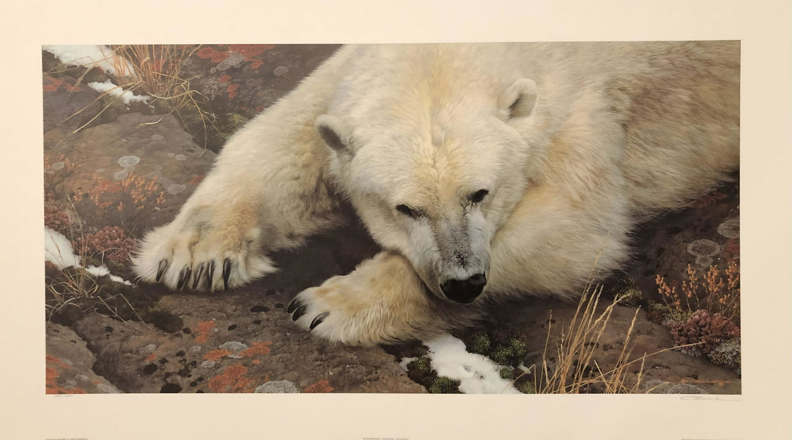 Carl Brenders "Top of the World Polar Bear" Signed Litho LE (1 of 4)