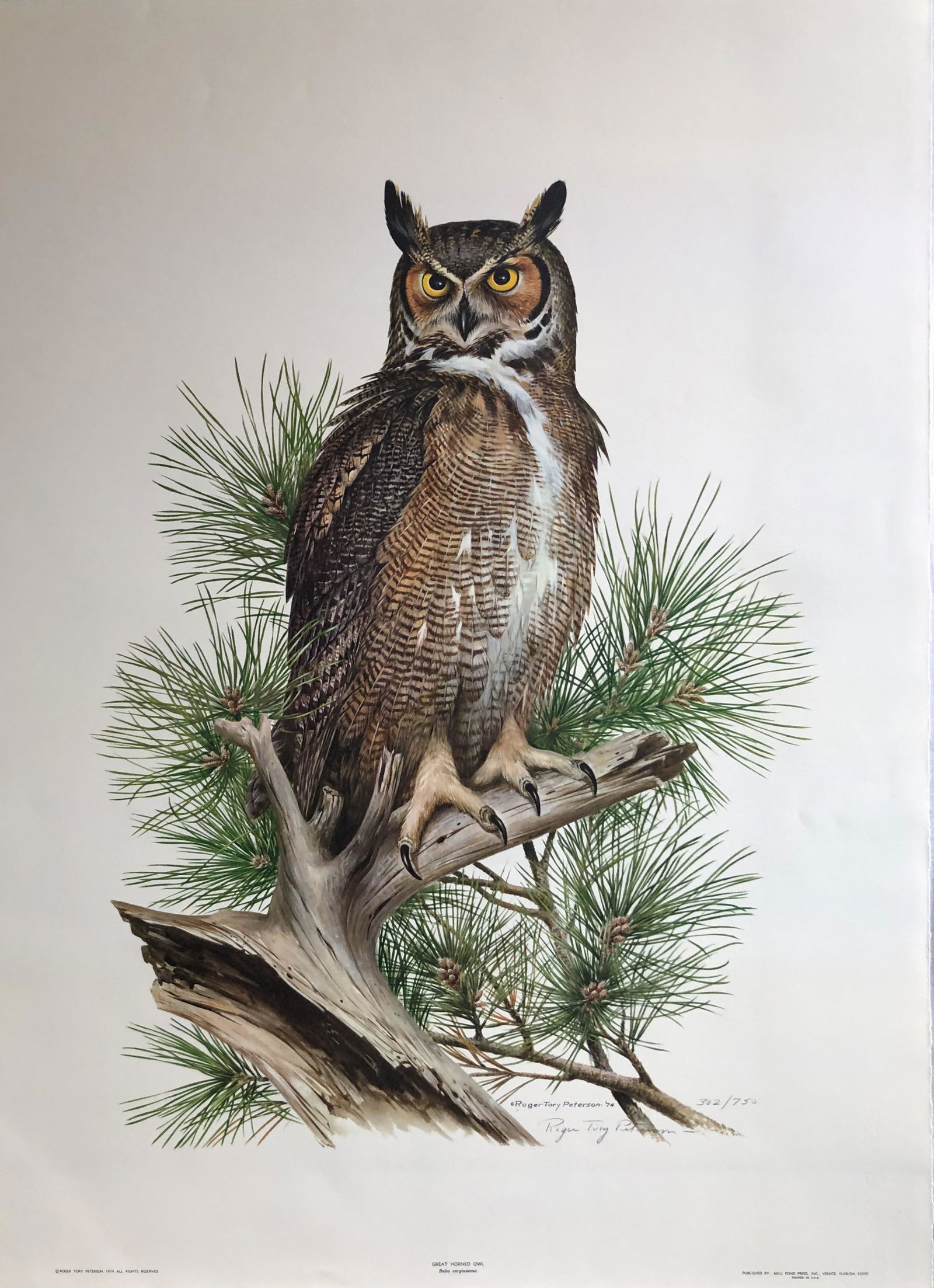 Roger T. Peterson "Great Horned Owl" Signed Litho LE (1 of 3)