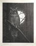 Paul M. Breeden "Great Horned Owl" Signed Litho LE