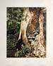Ron Parker "Raccoon Pair" Signed Lithograph LE