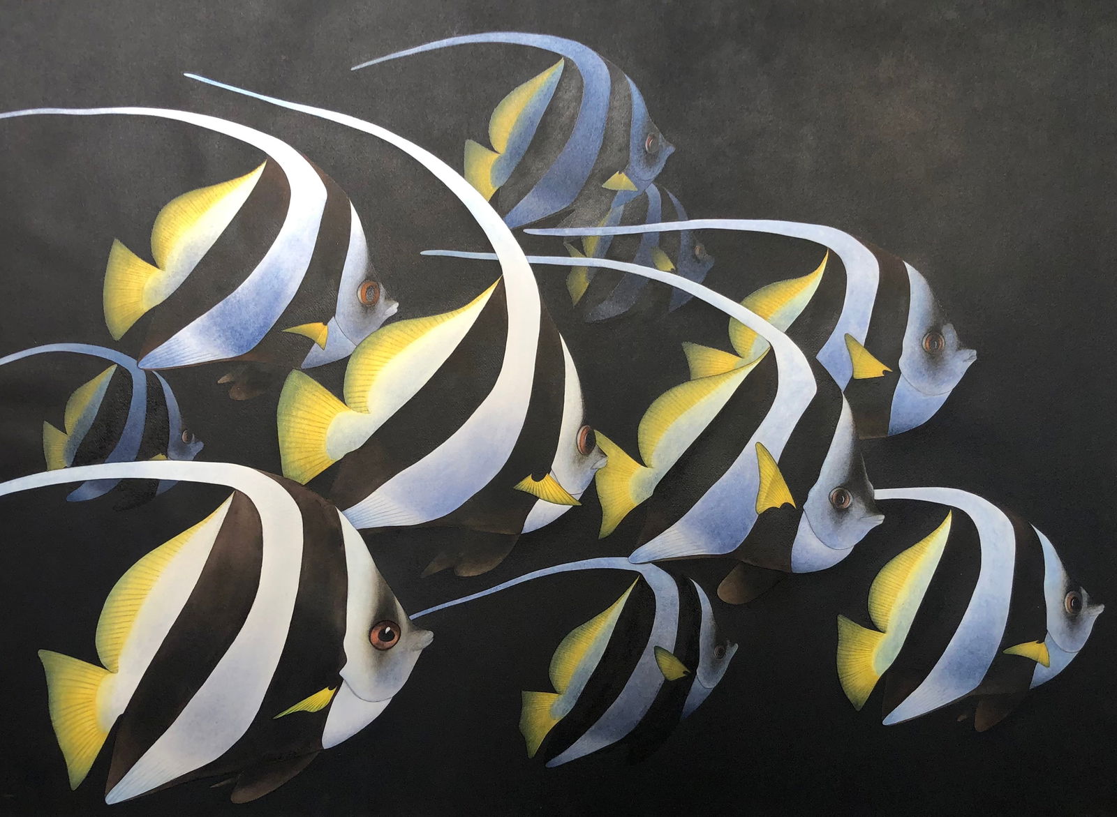 Mark MacQuiddy "Banner Fish" Signed Watercolor (1 of 2)